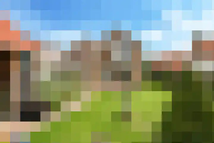 Damstraat 10 Zetten thumbnail 40