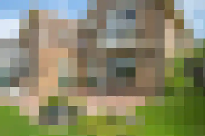 Damstraat 10 Zetten thumbnail 42