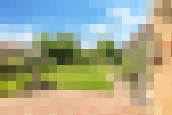 Damstraat 10 Zetten thumbnail 43