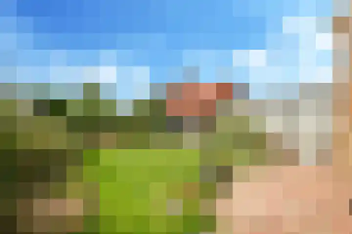 Damstraat 10 Zetten thumbnail 44