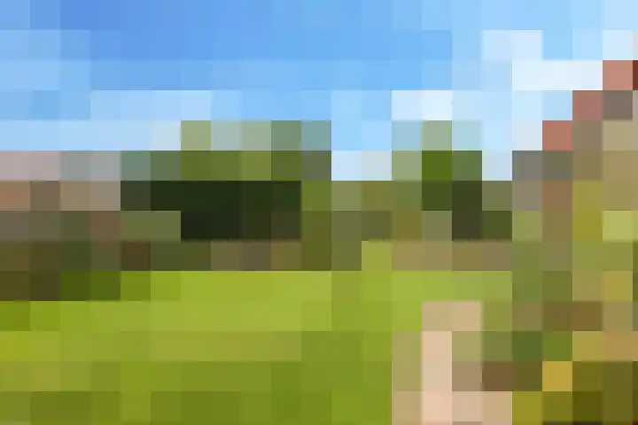 Damstraat 10 Zetten thumbnail 45