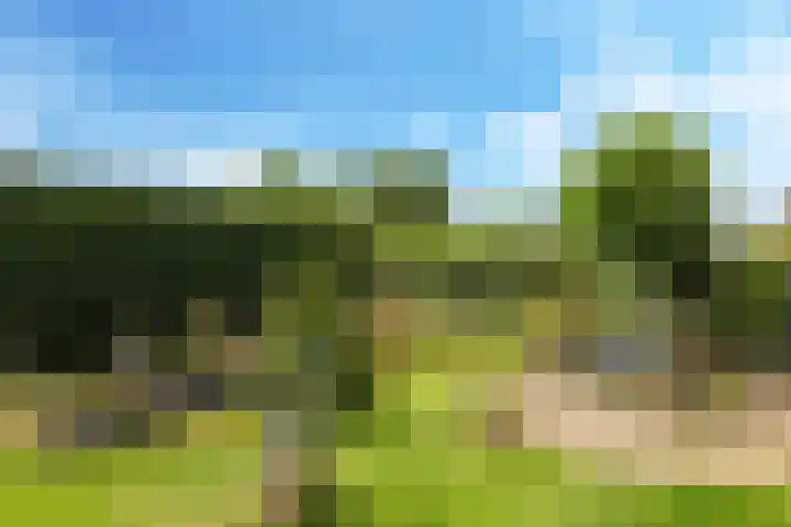Damstraat 10 Zetten thumbnail 46