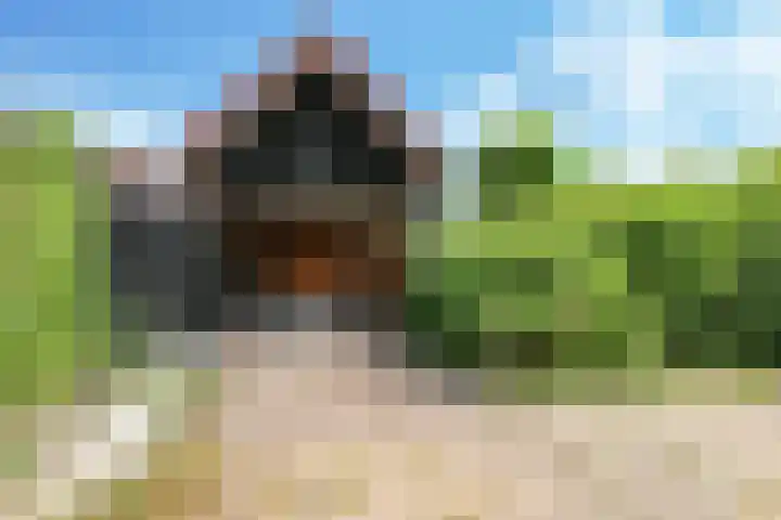 Damstraat 10 Zetten thumbnail 50