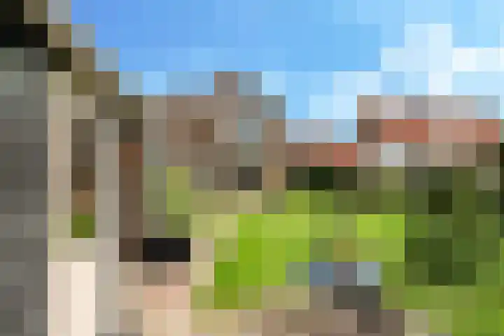 Damstraat 10 Zetten thumbnail 53