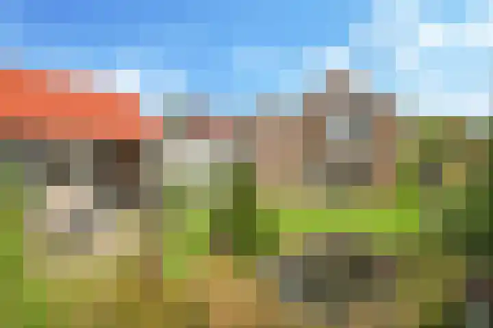 Damstraat 10 Zetten thumbnail 54