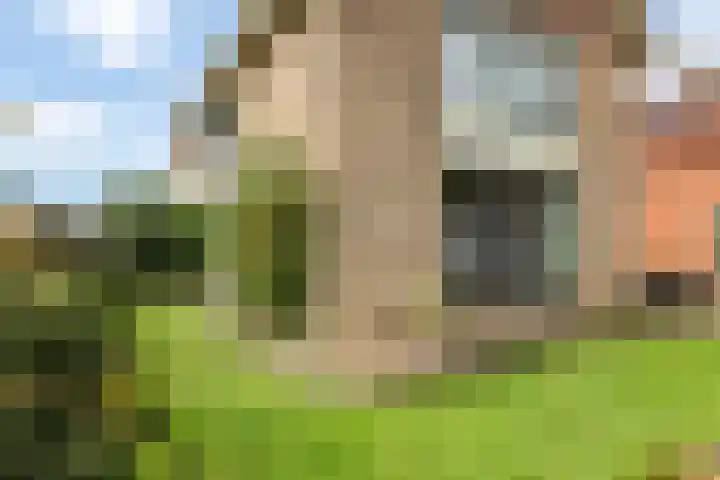 Damstraat 10 Zetten thumbnail 56