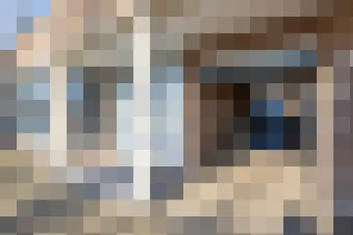 Damstraat 12 B Hardinxveld-Giessendam thumbnail 32