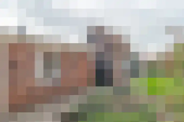 Damstraat 142 Yerseke thumbnail 25