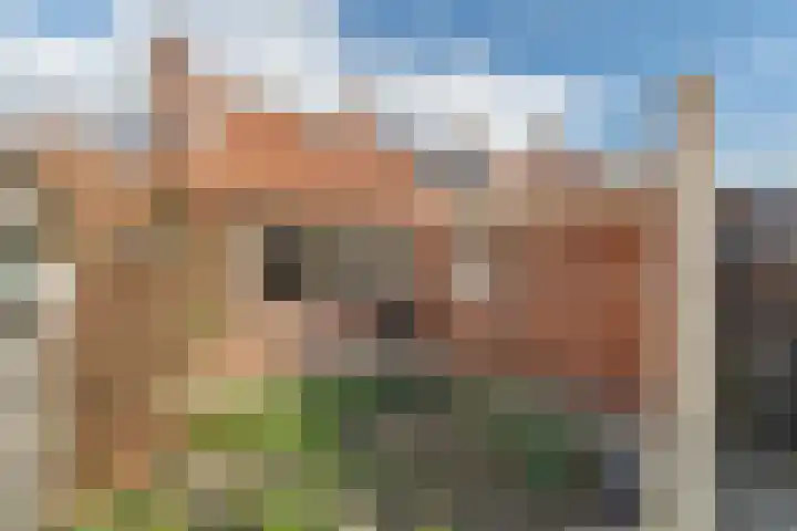 Damstraat 142 Yerseke thumbnail 26