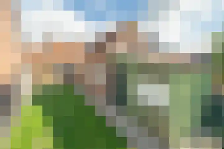 Damstraat 142 Yerseke thumbnail 27