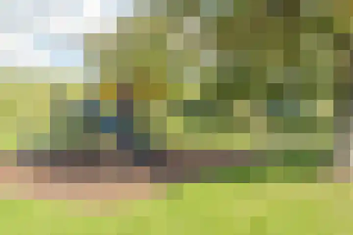 Damstraat 142 Yerseke thumbnail 32