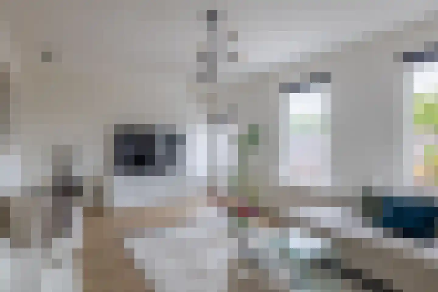 Damstraat 15 Ridderkerk thumbnail 10