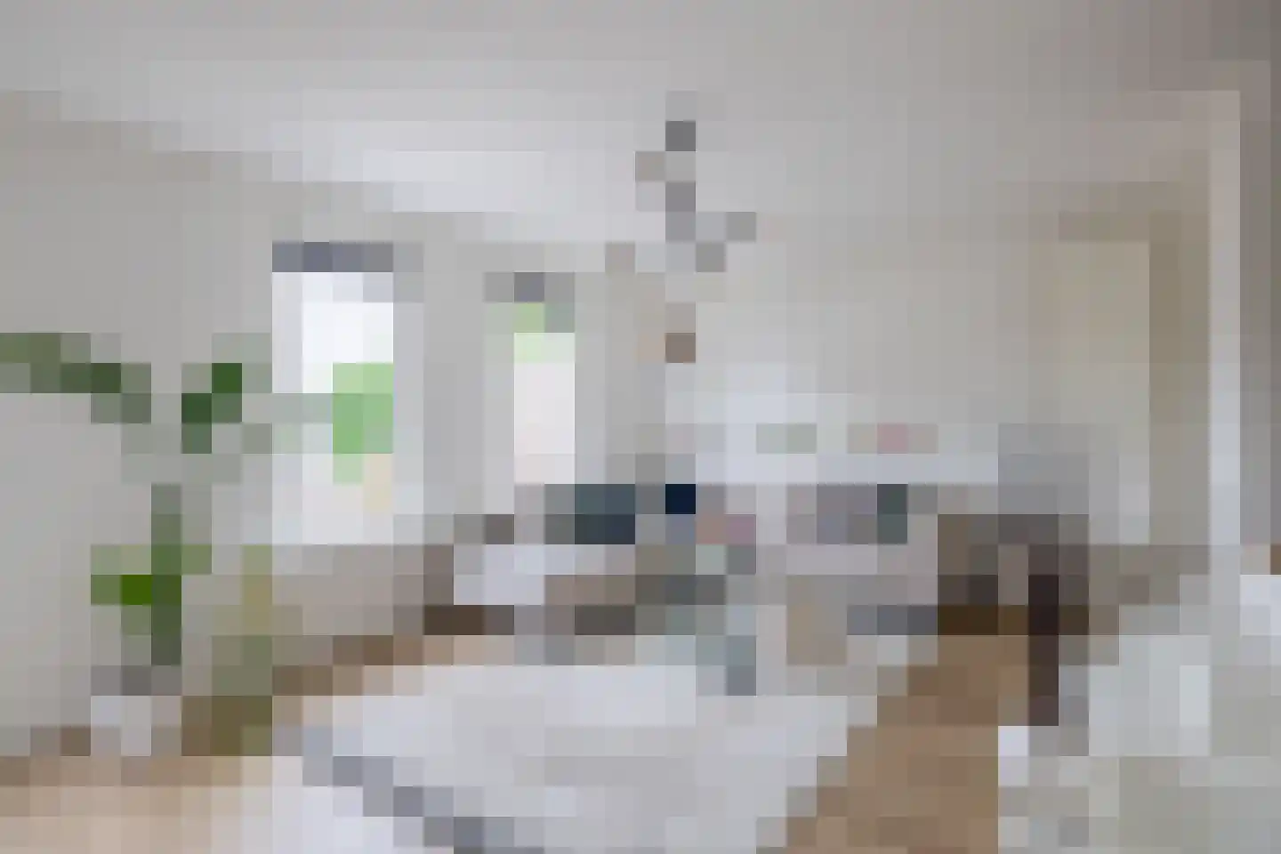 Damstraat 15 Ridderkerk thumbnail 11