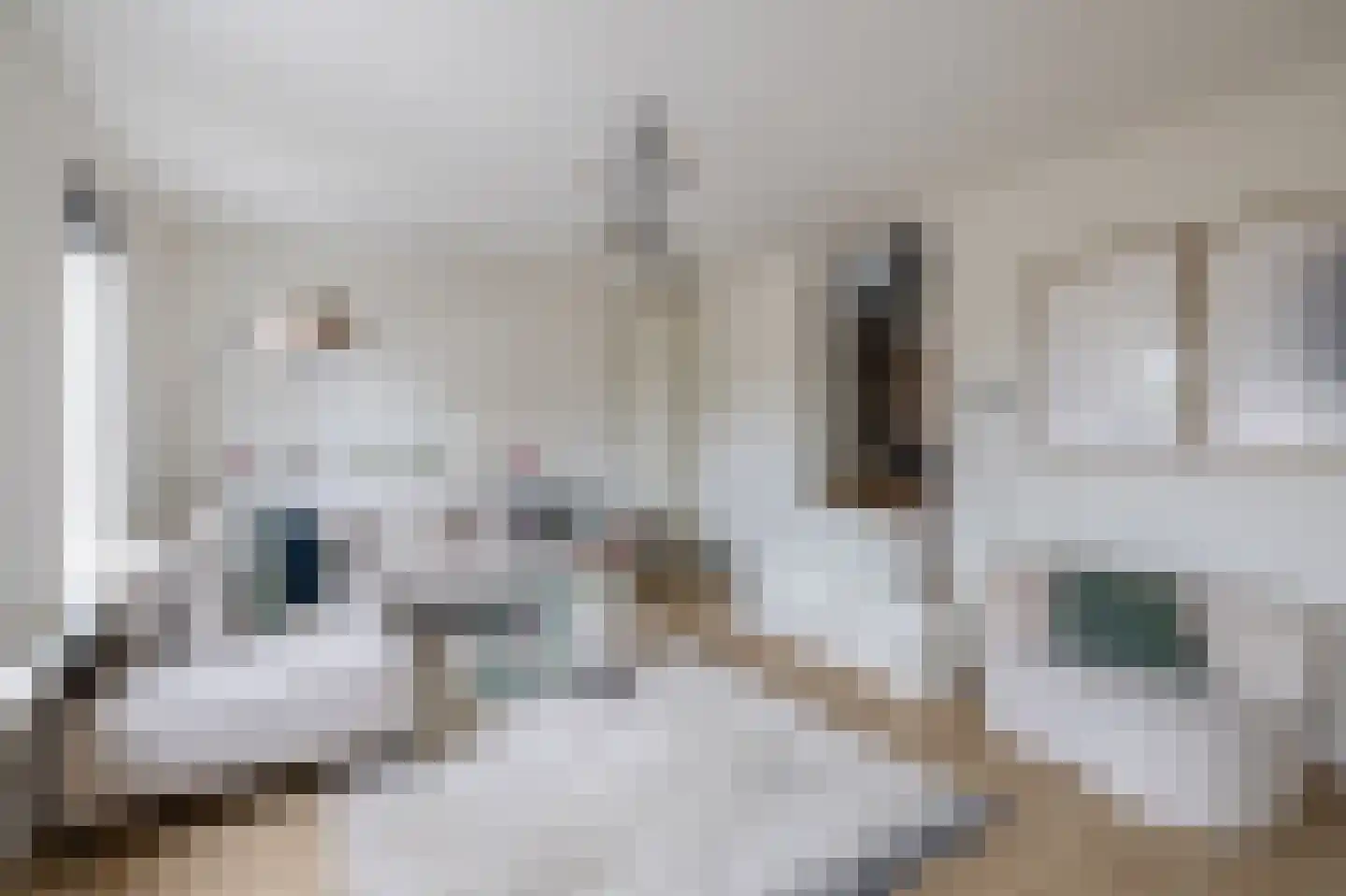 Damstraat 15 Ridderkerk thumbnail 12