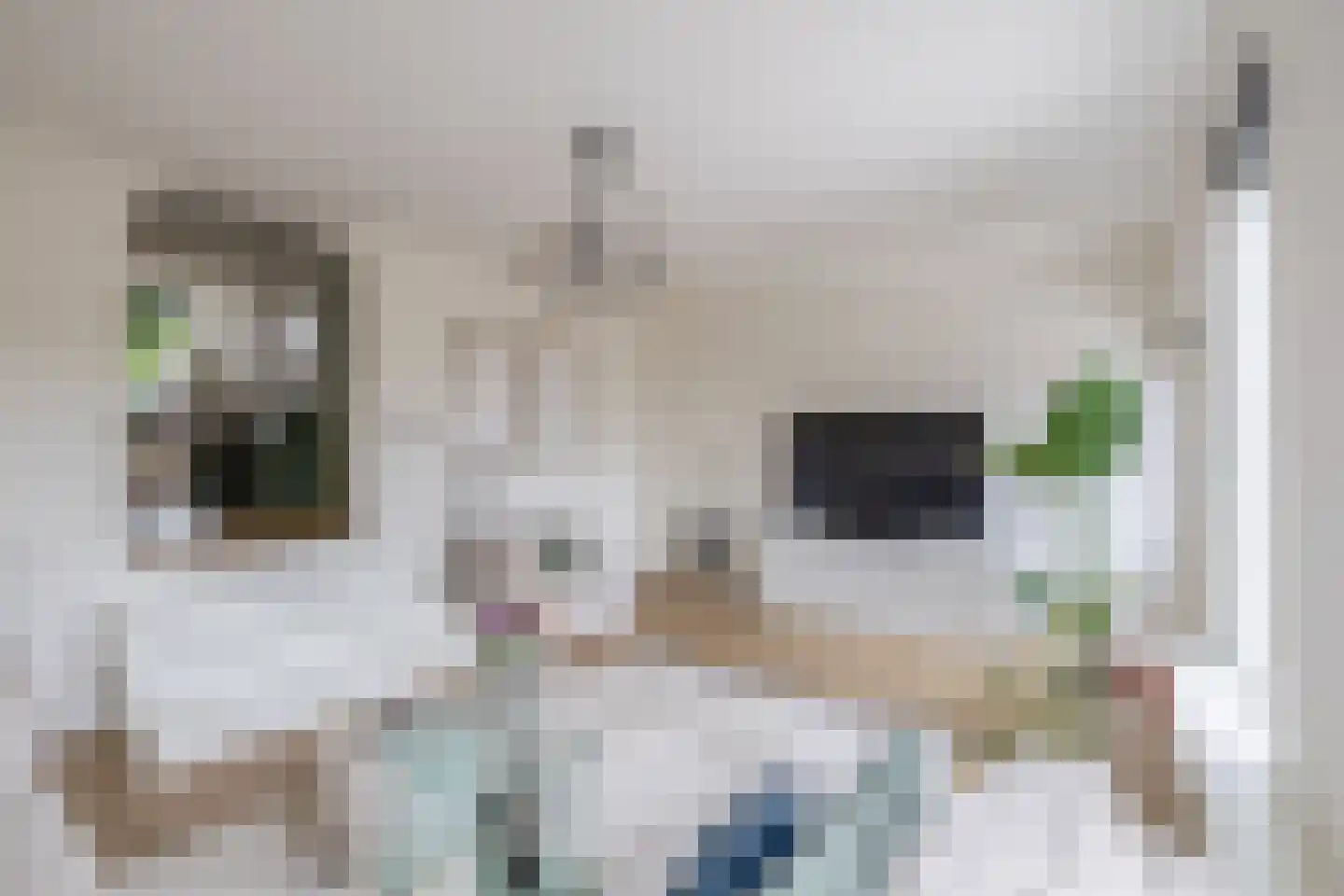 Damstraat 15 Ridderkerk thumbnail 13