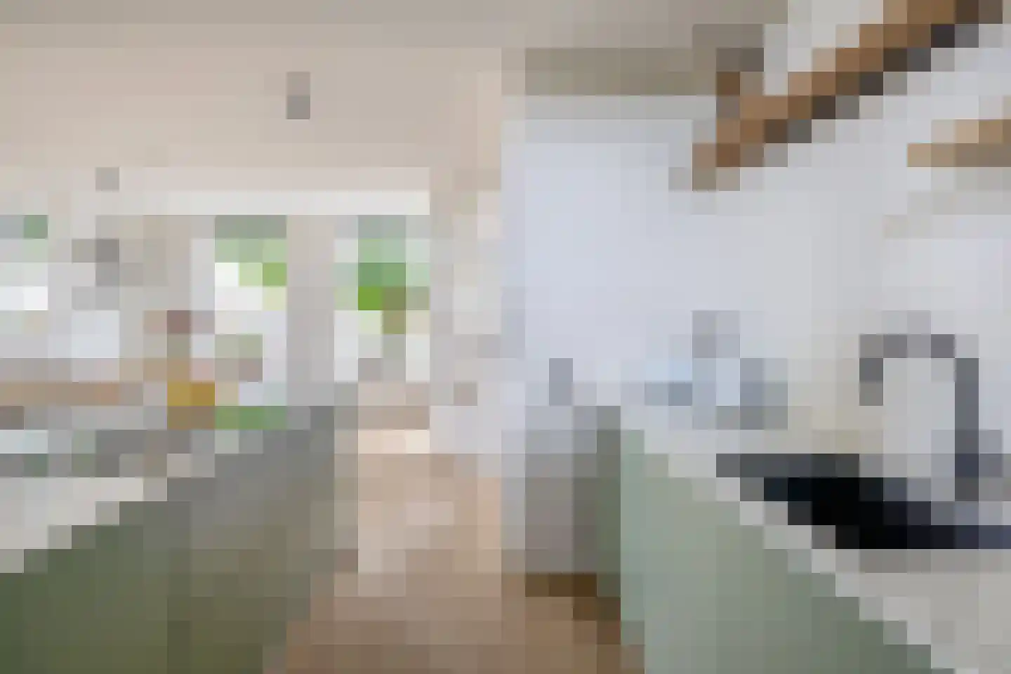 Damstraat 15 Ridderkerk thumbnail 26