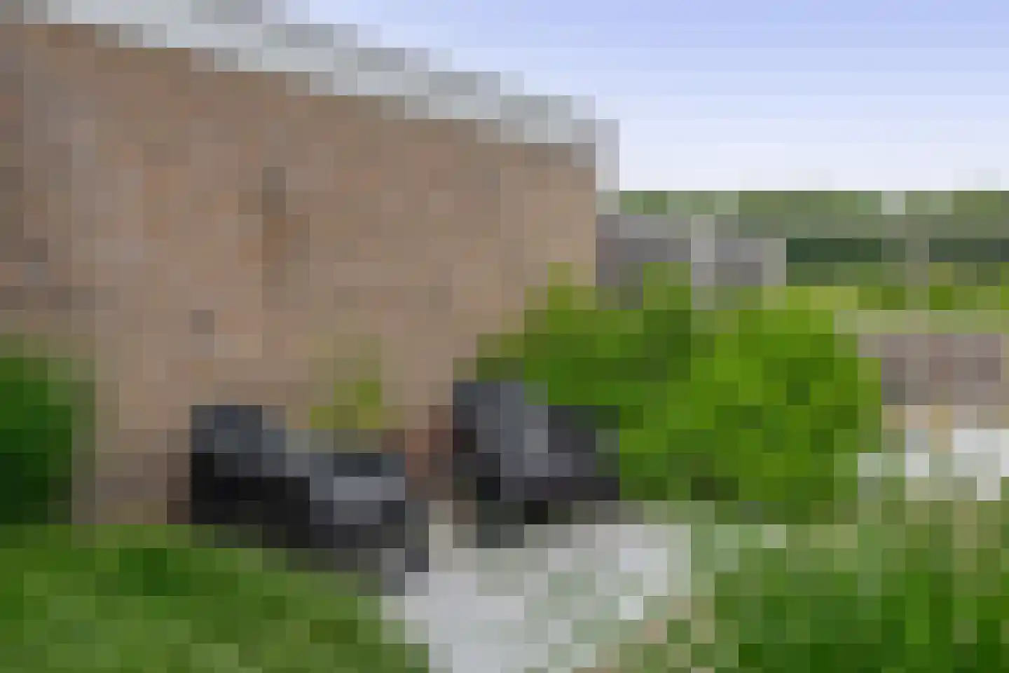 Damstraat 15 Ridderkerk thumbnail 33