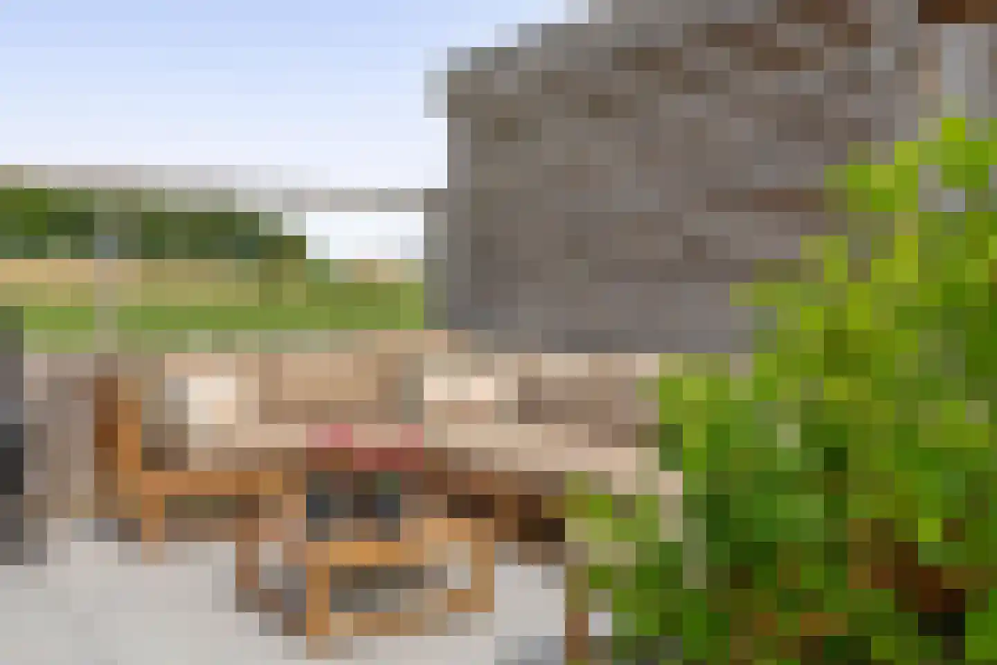 Damstraat 15 Ridderkerk thumbnail 35