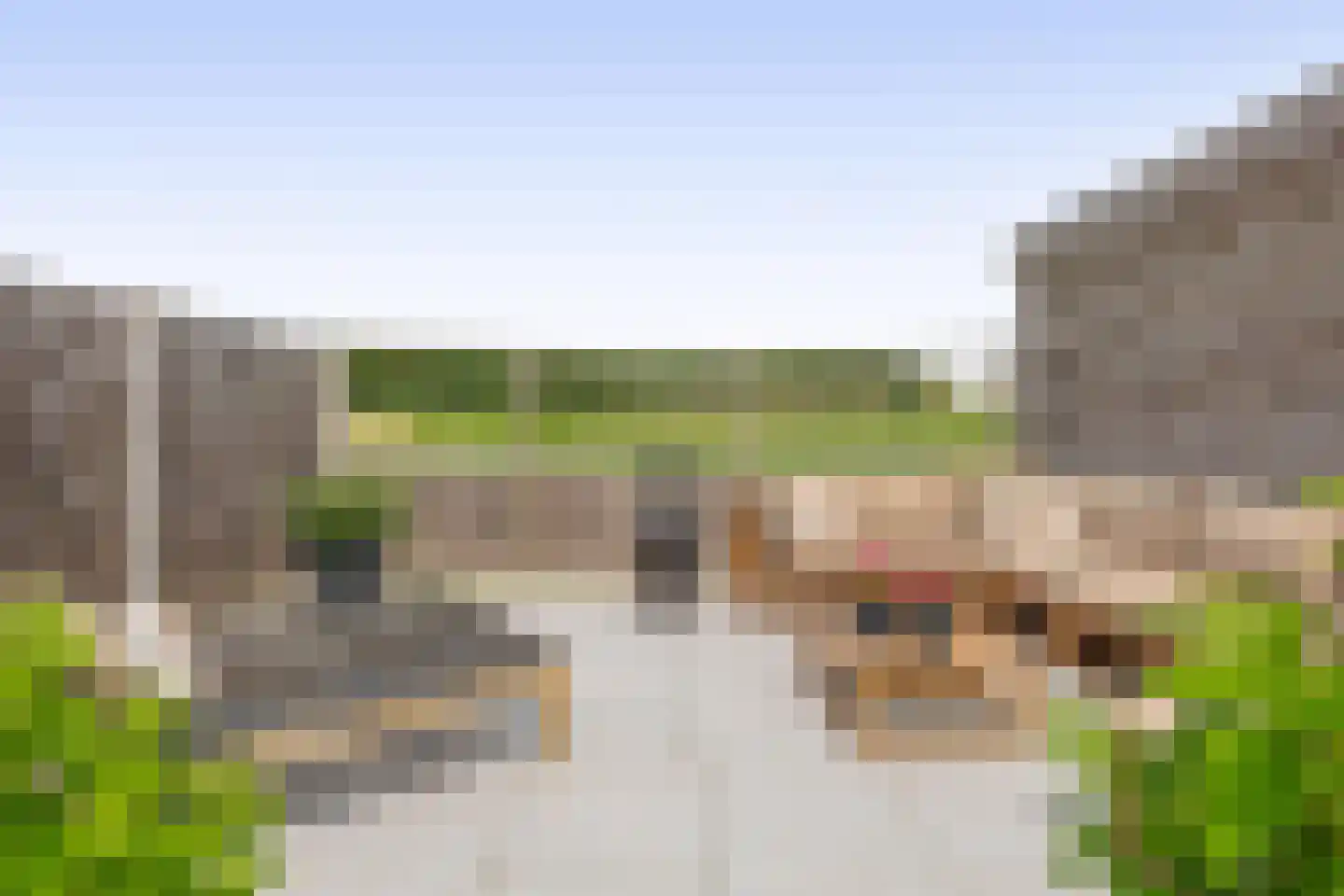 Damstraat 15 Ridderkerk thumbnail 36