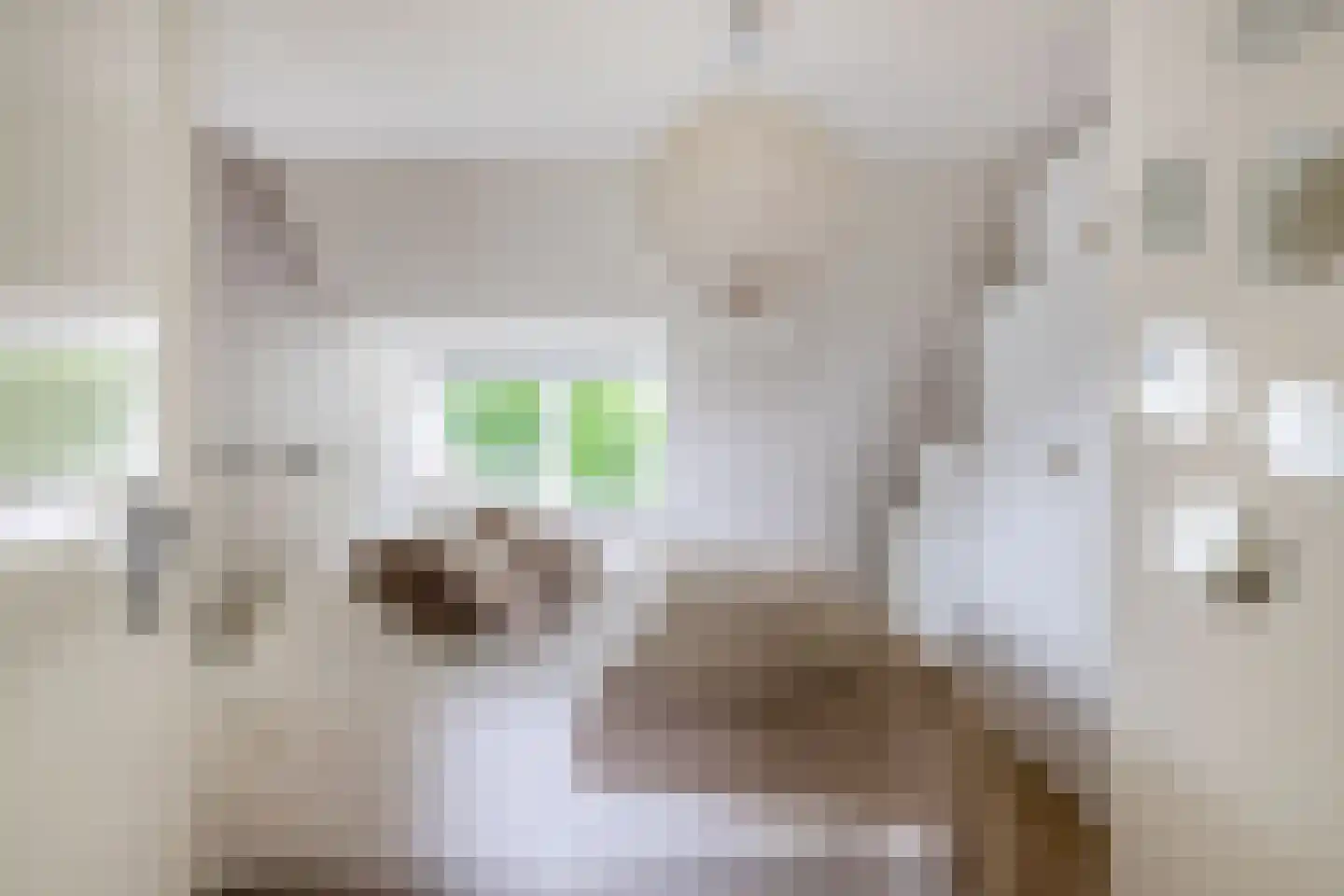 Damstraat 15 Ridderkerk thumbnail 43