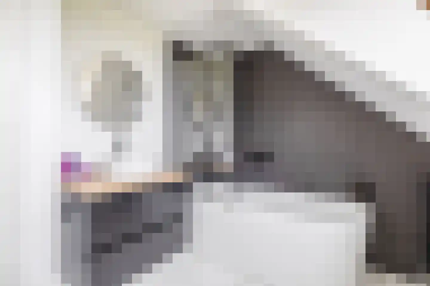 Damstraat 15 Ridderkerk thumbnail 47