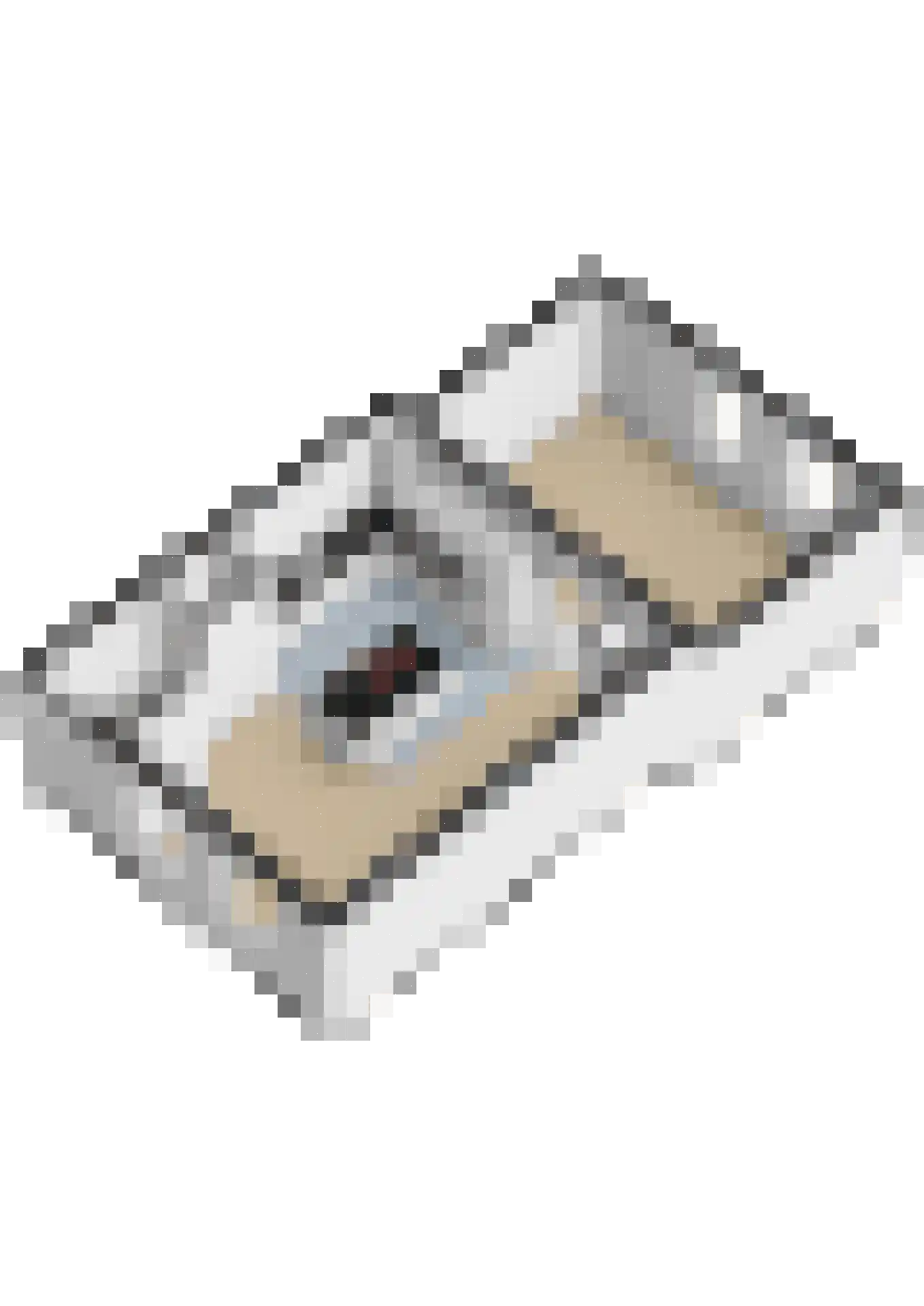 Damstraat 15 Ridderkerk thumbnail 65