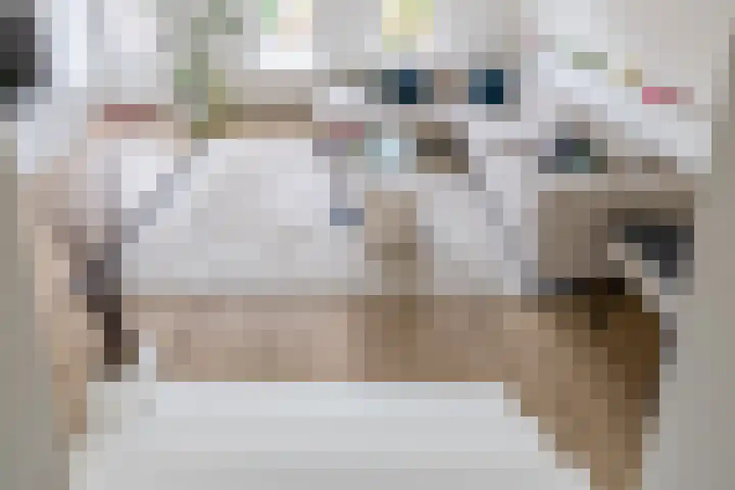 Damstraat 15 Ridderkerk thumbnail 9