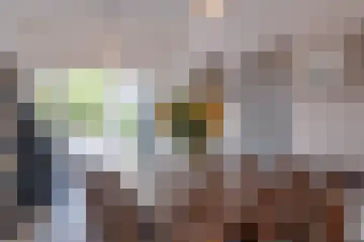 Damstraat 15 Yerseke thumbnail 14