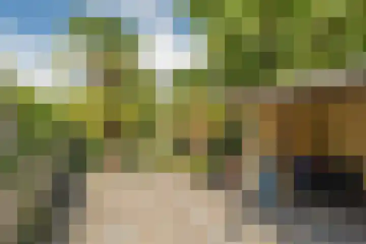 Damstraat 15 Yerseke thumbnail 36