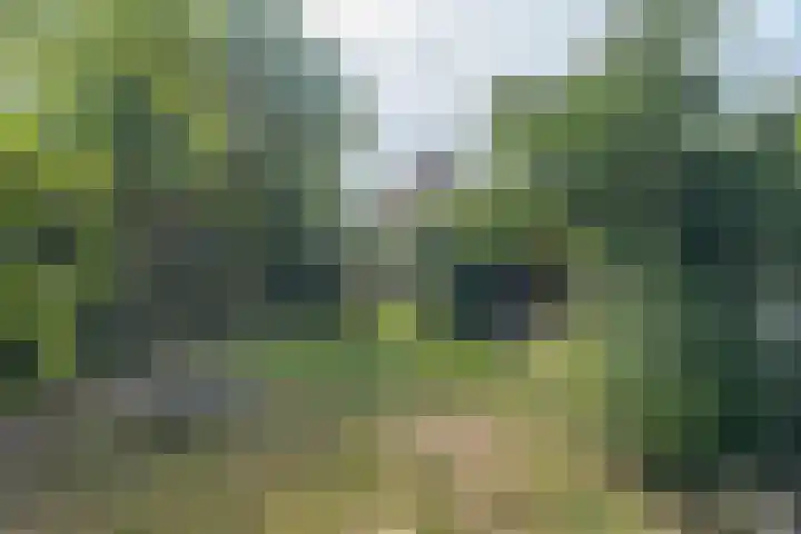 Damstraat 15 Yerseke thumbnail 40