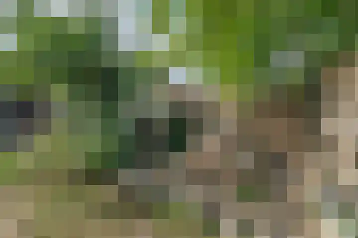 Damstraat 15 Yerseke thumbnail 41