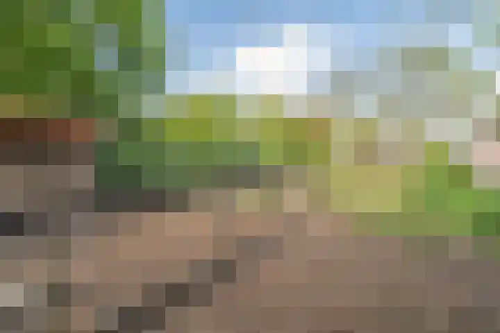 Damstraat 15 Yerseke thumbnail 42