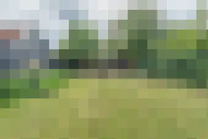 Damstraat 15 Yerseke thumbnail 43
