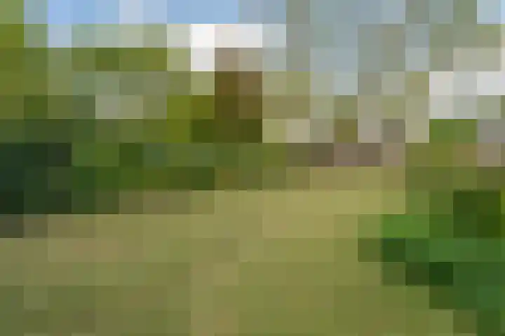 Damstraat 15 Yerseke thumbnail 45