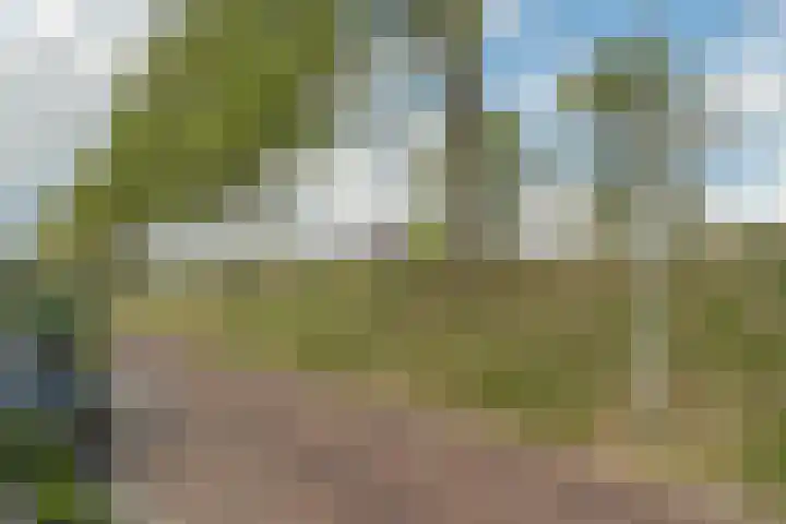 Damstraat 15 Yerseke thumbnail 47