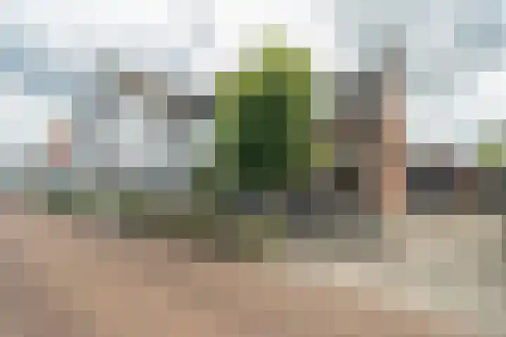 Damstraat 15 Yerseke thumbnail 48