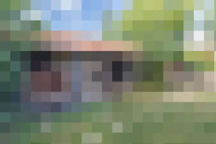 Damstraat 15 Yerseke thumbnail 5