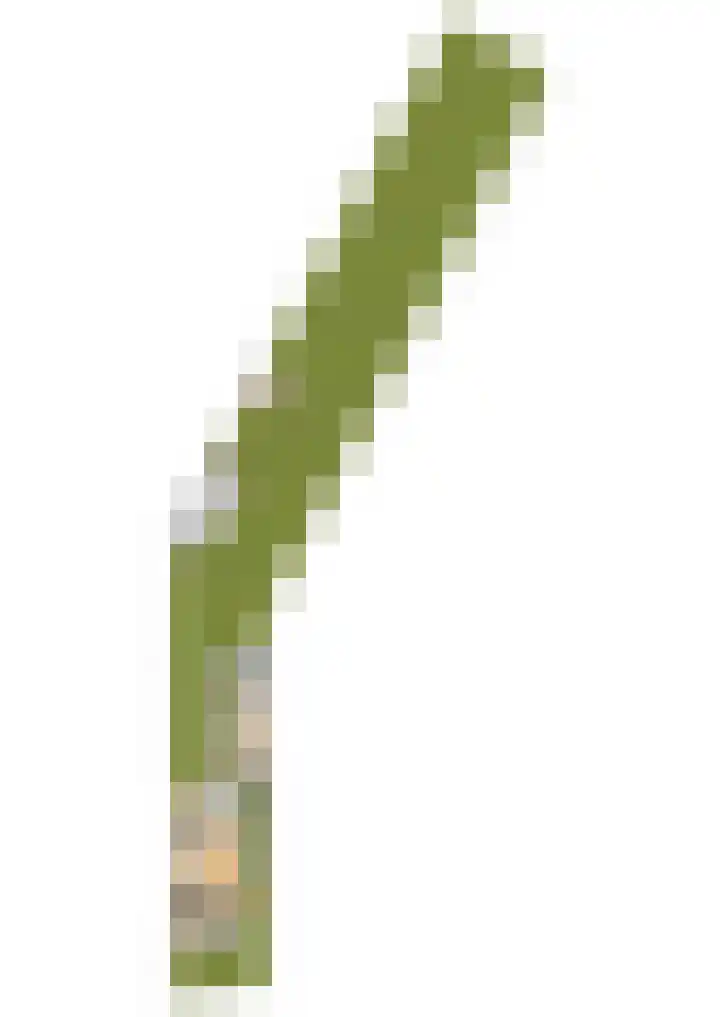 Damstraat 15 Yerseke thumbnail 58