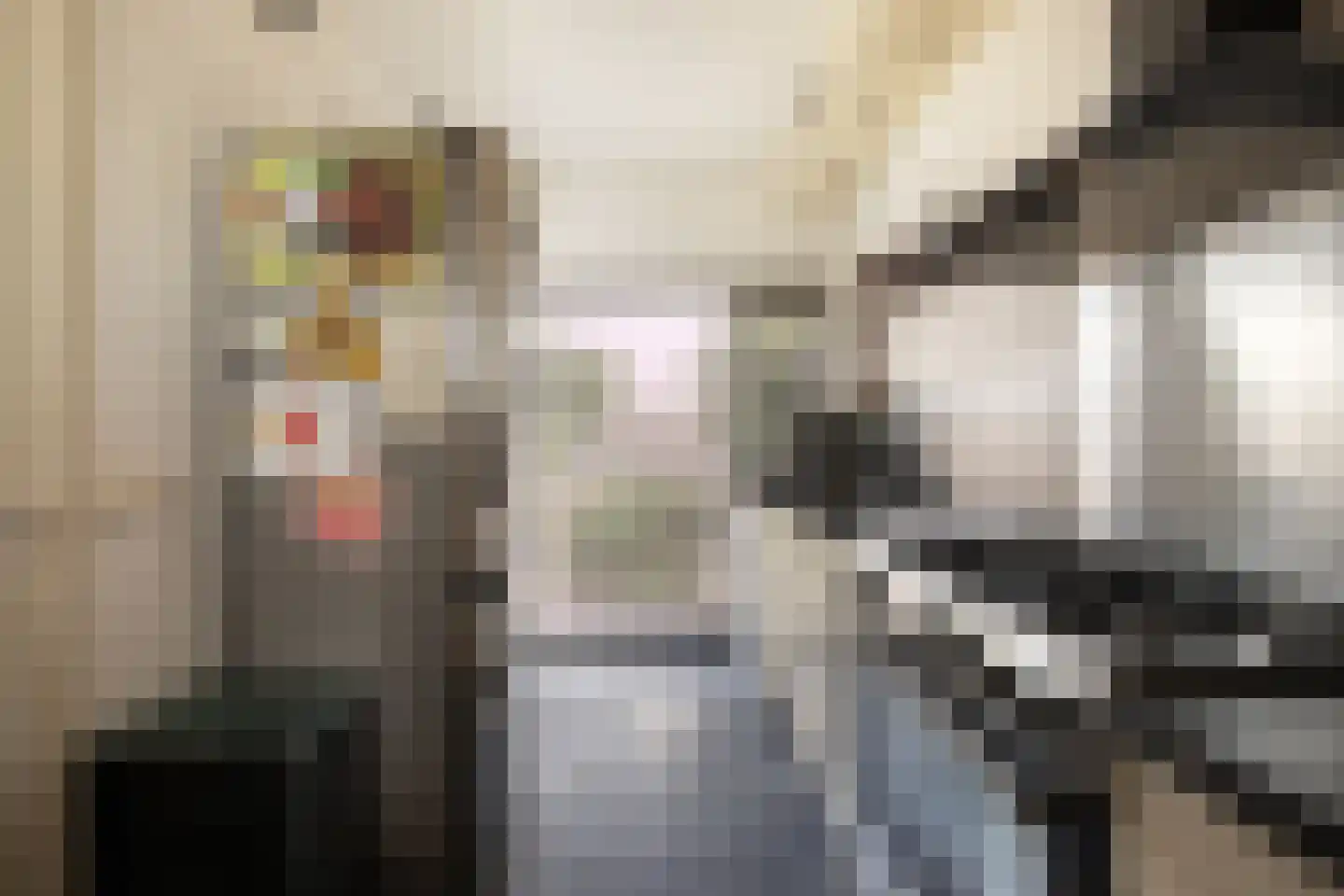 Damstraat 17 Ridderkerk thumbnail 13