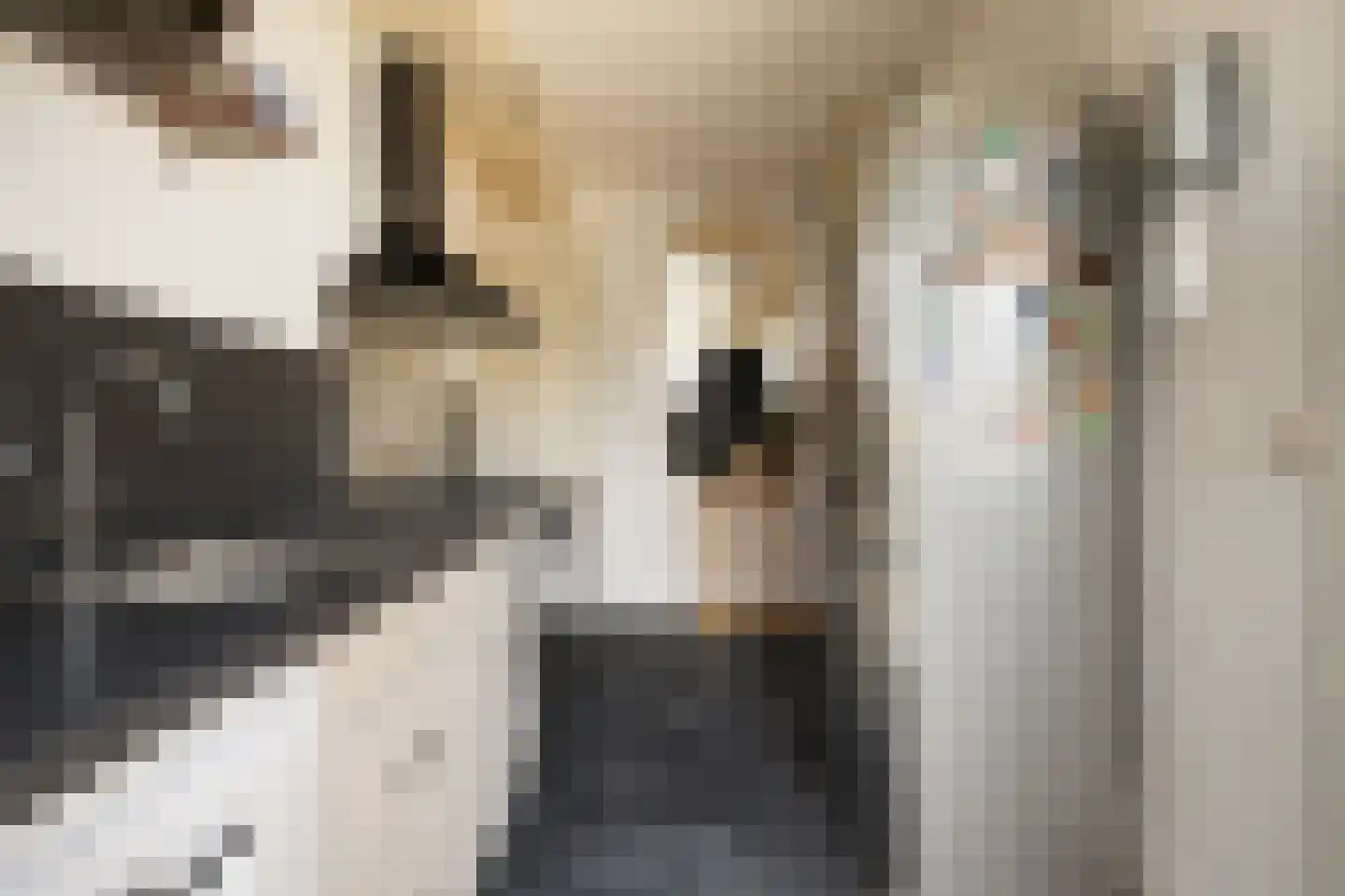 Damstraat 17 Ridderkerk thumbnail 15