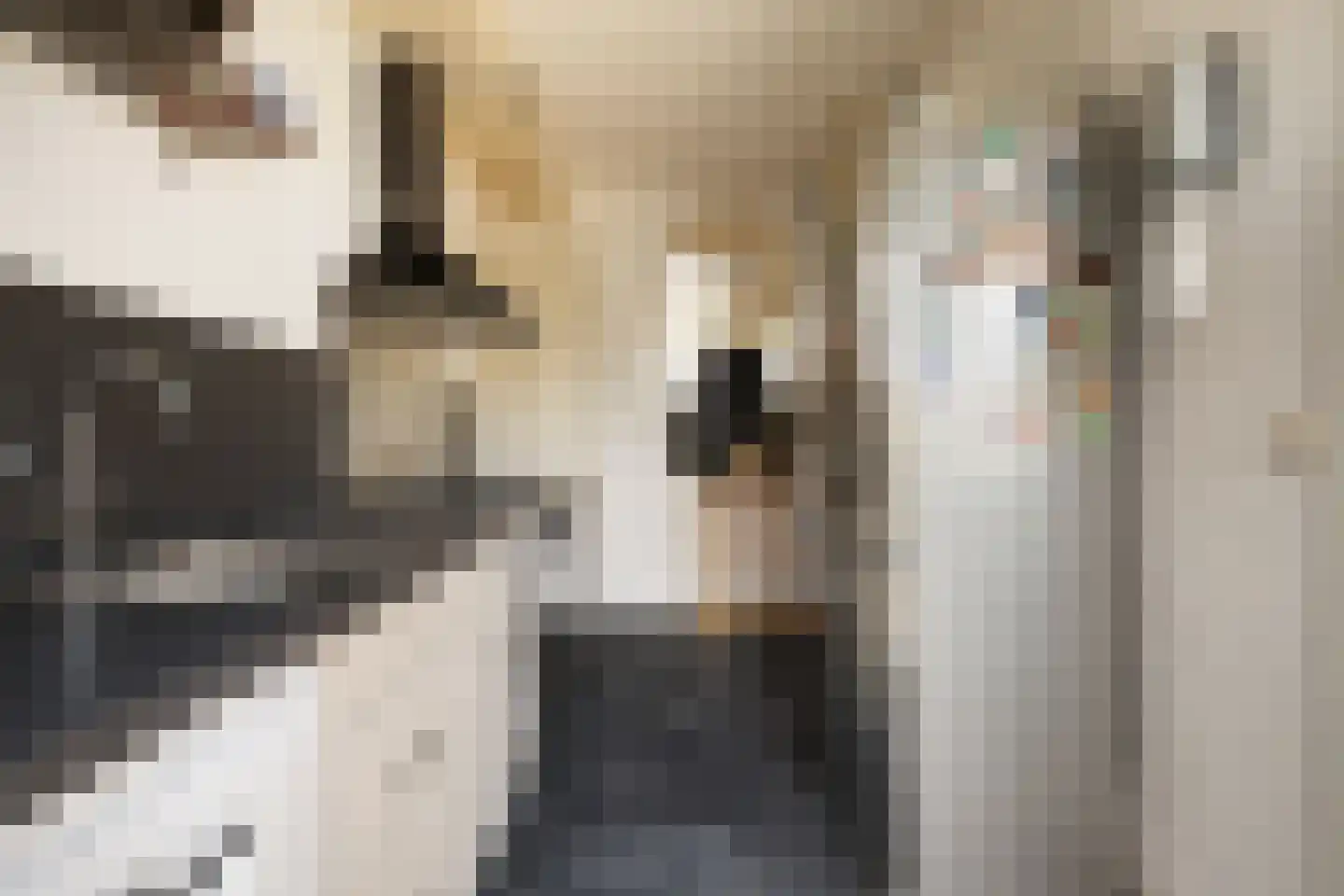 Damstraat 17 Ridderkerk thumbnail 16