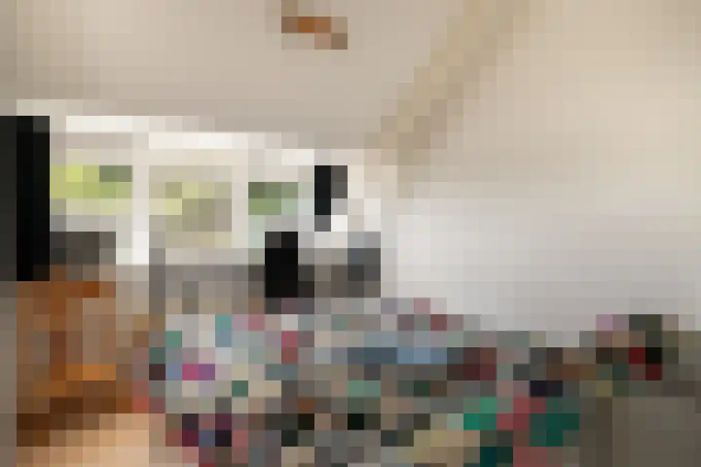 Damstraat 17 Ridderkerk thumbnail 23