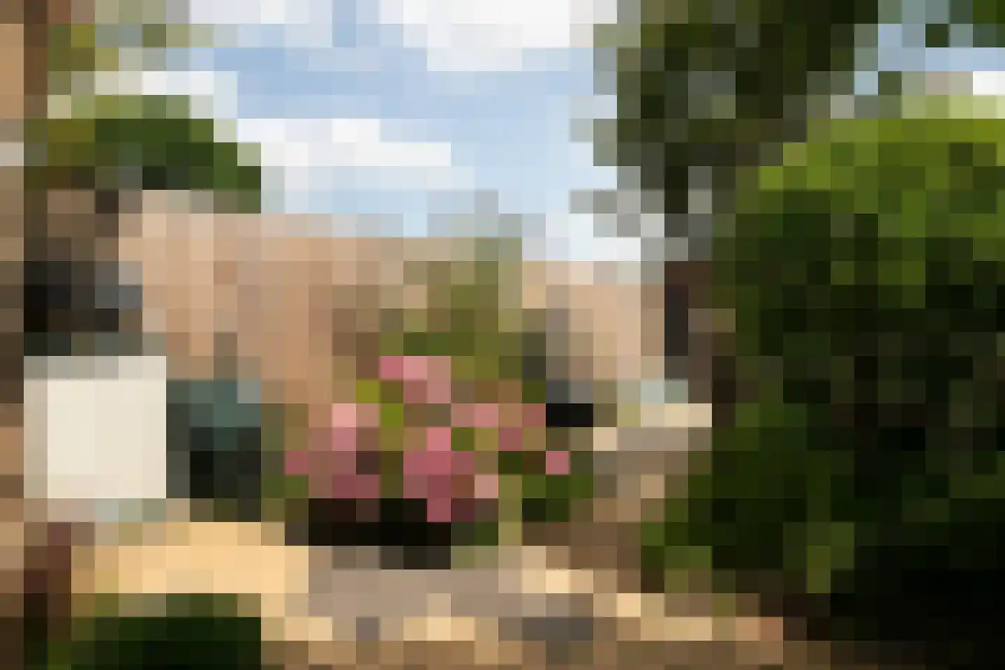Damstraat 17 Ridderkerk thumbnail 28