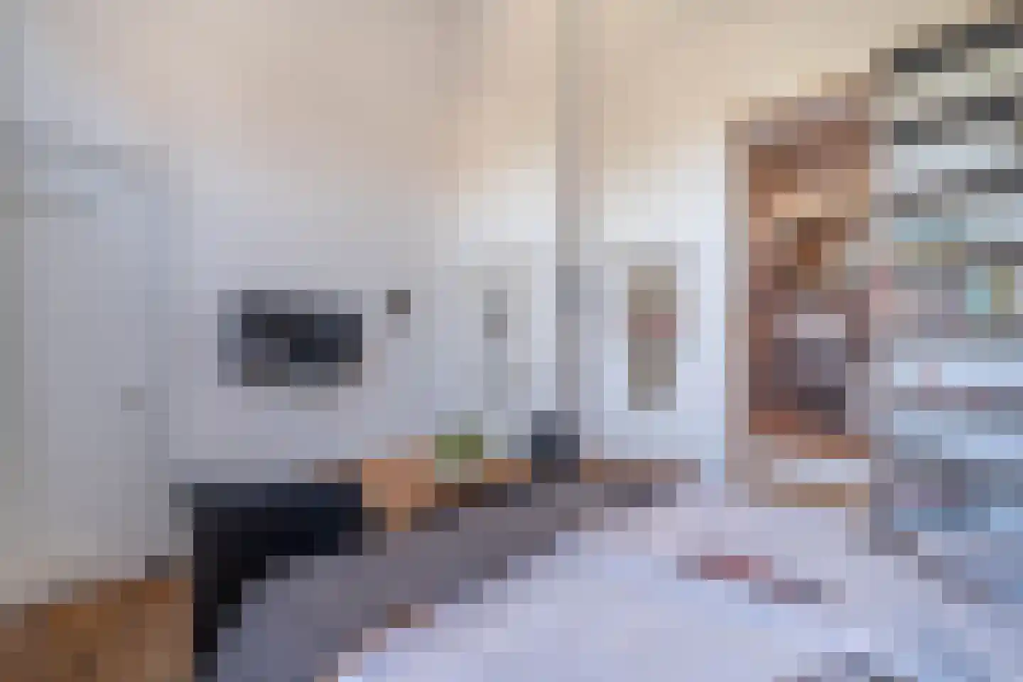 Damstraat 19 Yerseke thumbnail 15
