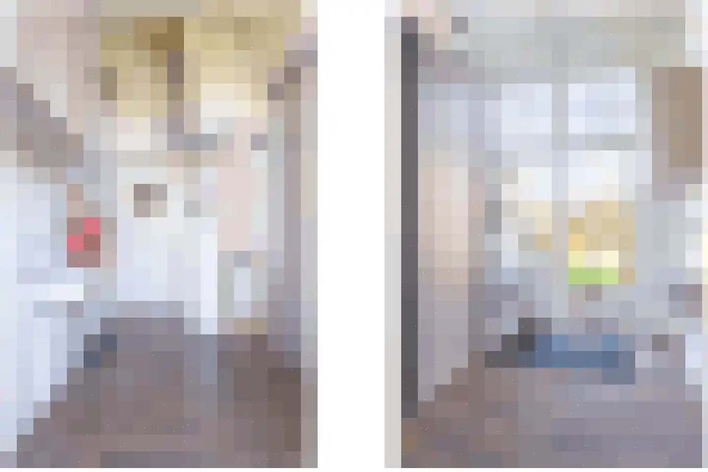 Damstraat 19 Yerseke thumbnail 26