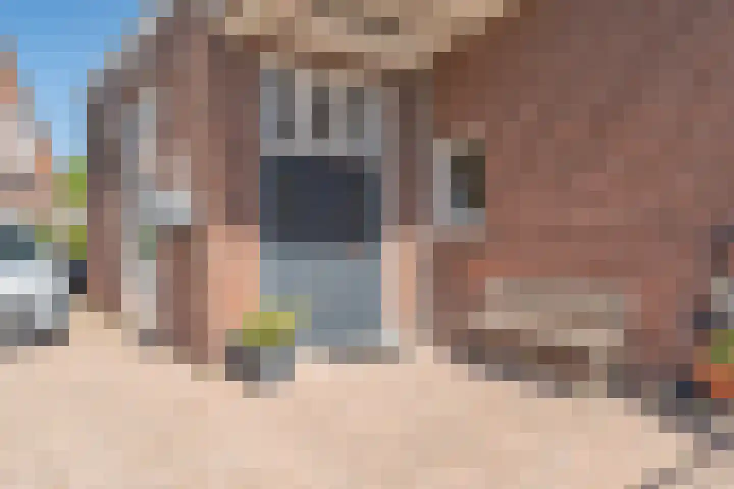 Damstraat 19 Yerseke thumbnail 31