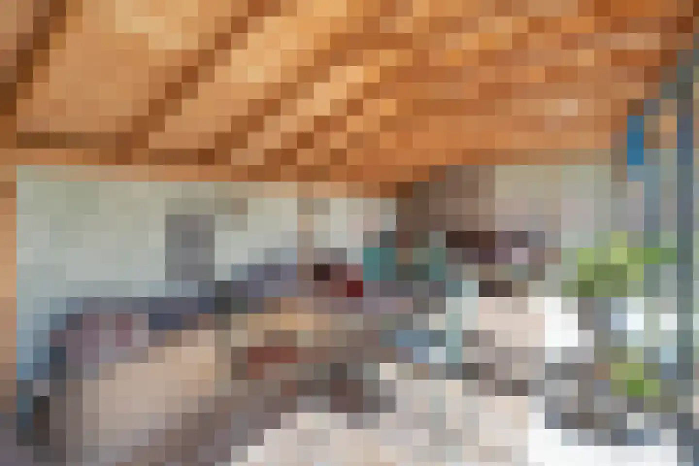Damstraat 19 Yerseke thumbnail 38