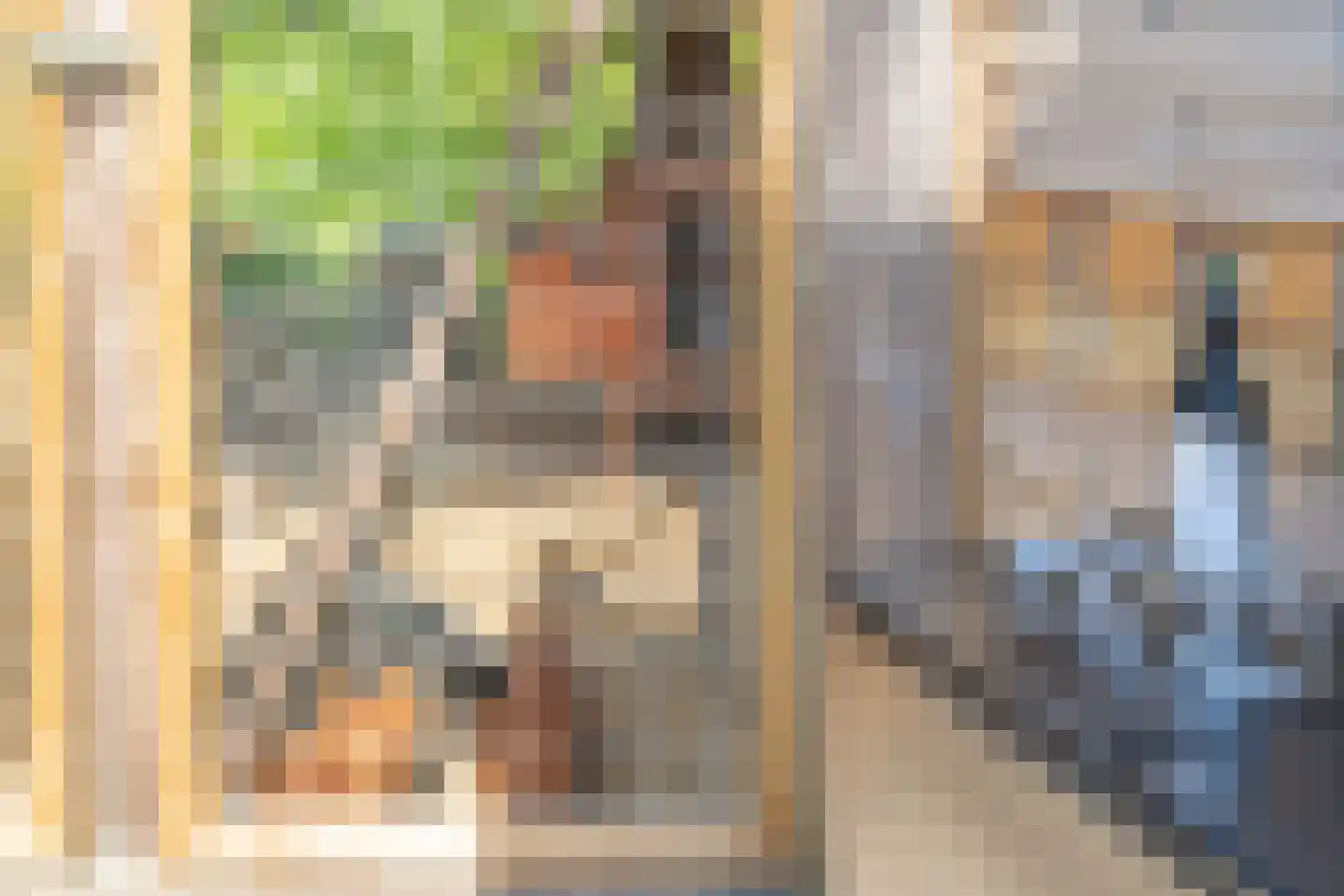 Damstraat 19 Yerseke thumbnail 40