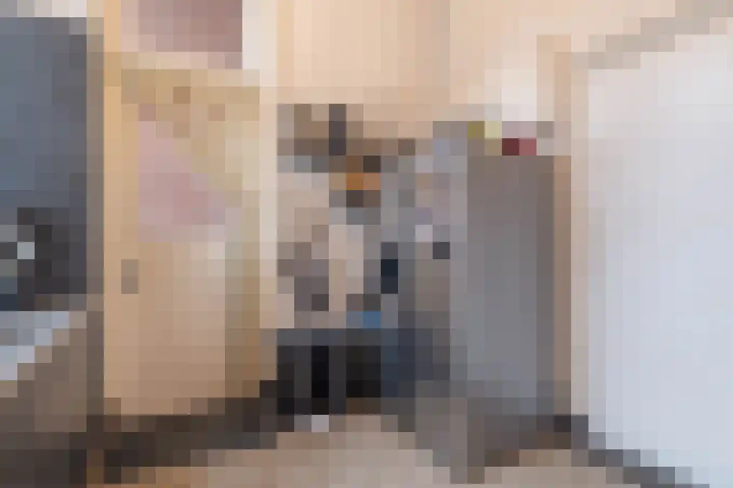 Damstraat 19 Yerseke thumbnail 53