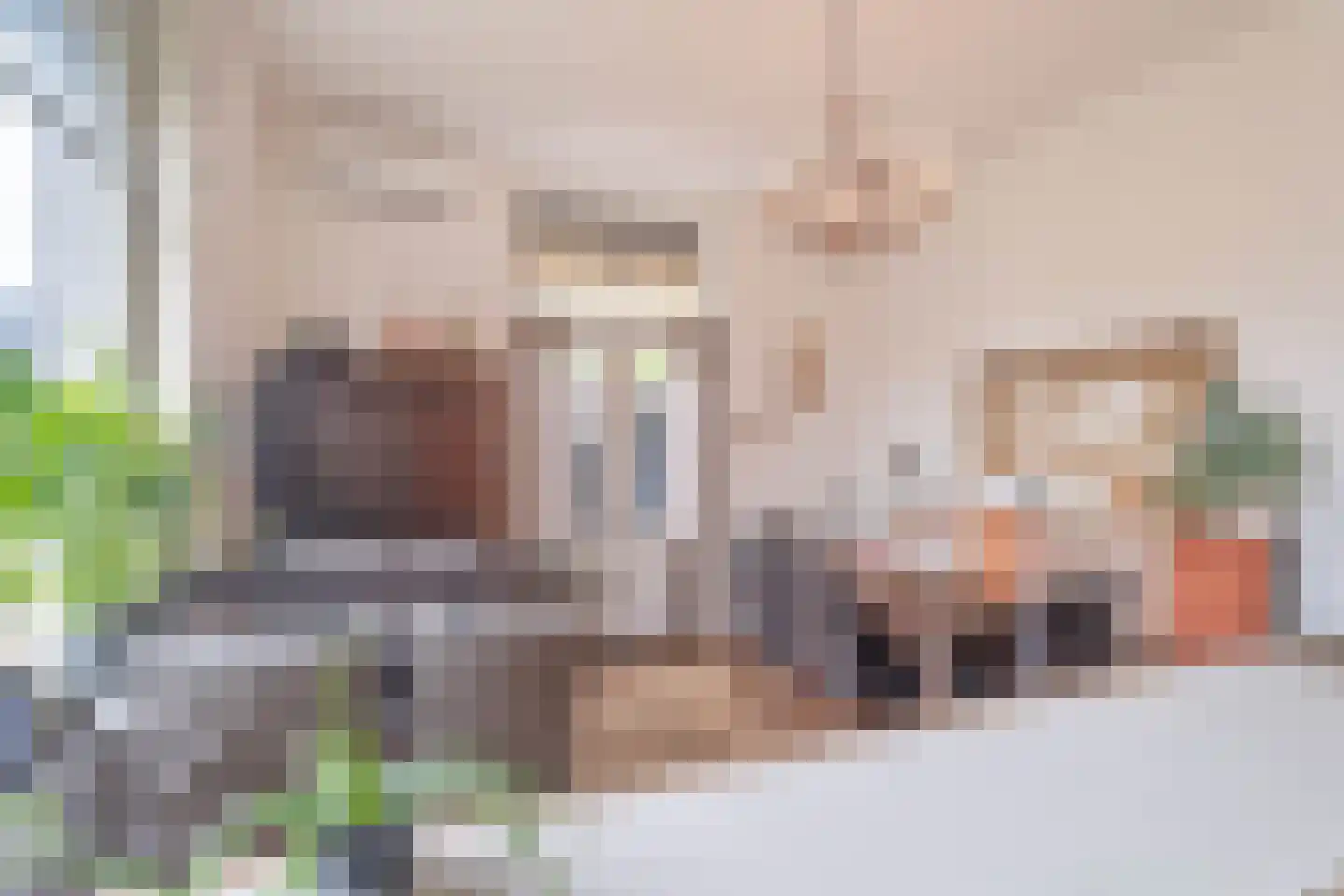 Damstraat 19 Yerseke thumbnail 55